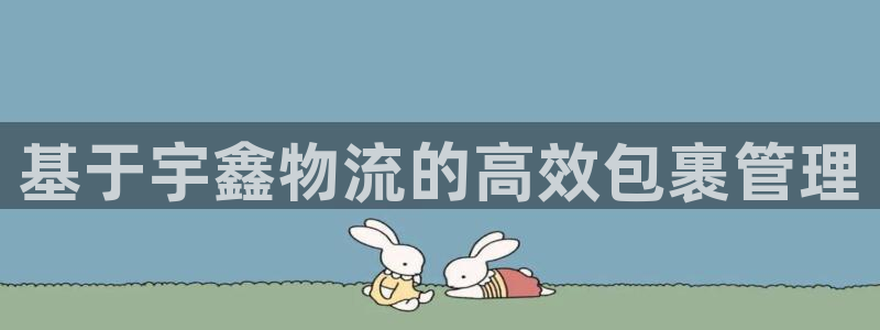 28圈加拿大app预测:基于宇鑫物流