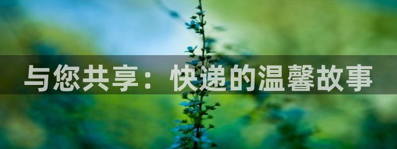 28圈如何看计划:与您共享:快递的温